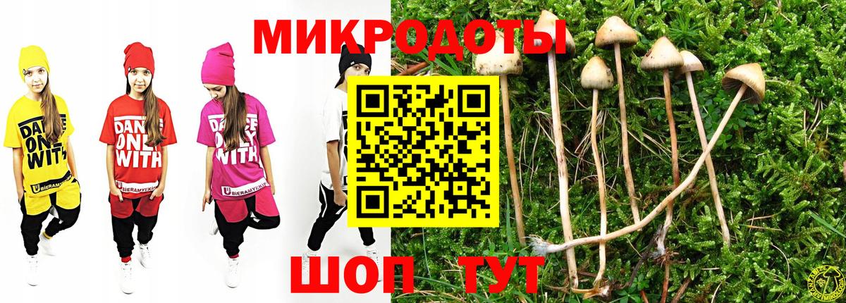 Галлюциногенные грибы GOLDEN TEACHER  Вход с VPN  Азнакаево  Псилоцибиновые грибы GOLDEN TEACHER 